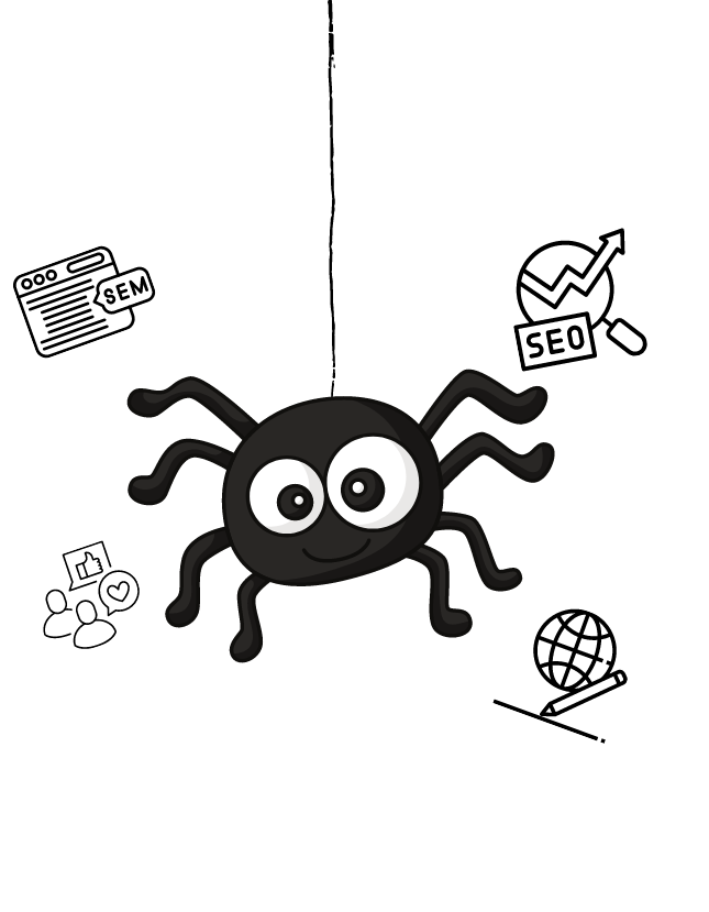 Spider
